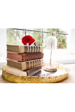 Readers Digest Books