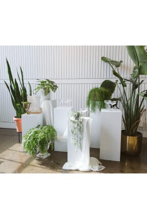 White Pedestals