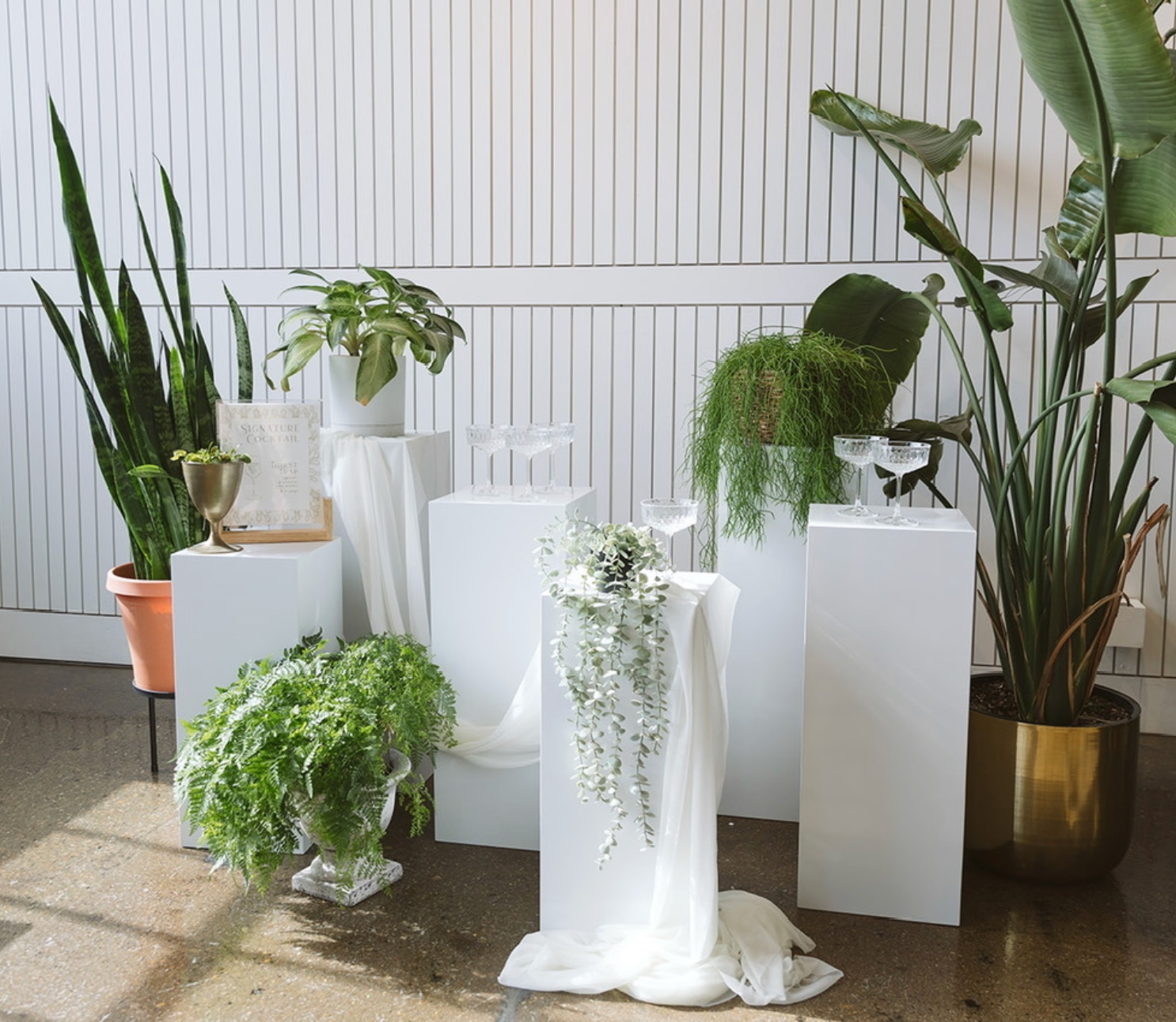 White Pedestals White Pedestals